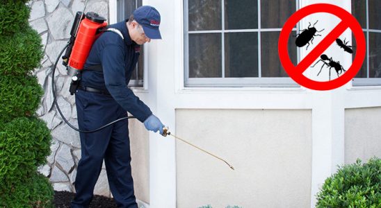 Sivrihisar Karınca İlaçlama böcek ilaçlama ve haşere kontrolü — ilaclama-tr.com